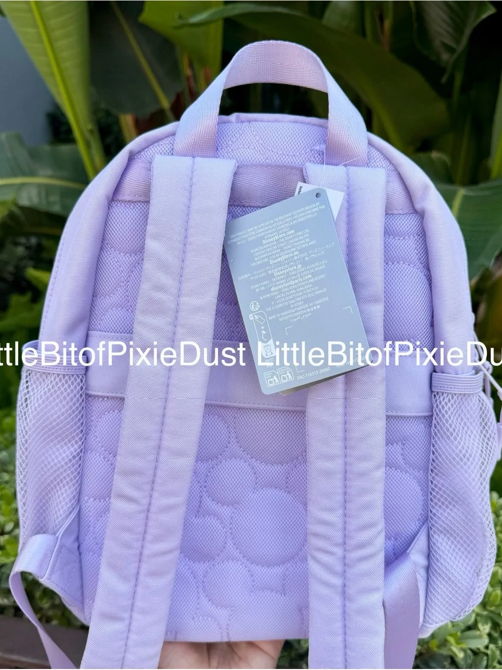 Disney Parks Disneyland “Hey Boo” Mini Backpack